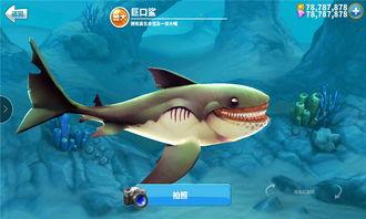 鲨瓜吃游戏1111,1111游戏盛宴，挑战极限的冒险之旅