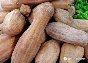 长腿方瓜怎么吃,解锁美味新境界