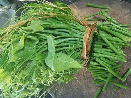 佛手瓜和波菜能一起吃吗,健康搭配，美味共享