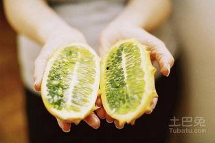 巨人吃刺角瓜,挑战刺角瓜的奇幻冒险