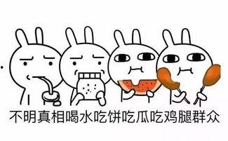 吃瓜群众手写名,揭秘“吃瓜群众”手写名背后的趣味与寓意