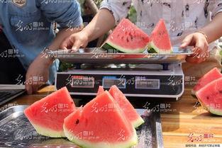 山东夫妻对话吃瓜,吃瓜群众揭秘家庭日常趣事