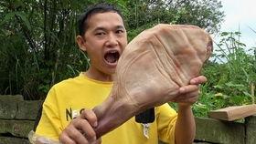 刘大瓜 吃鸡,吃鸡达人，揭秘游戏背后的精彩故事