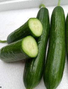 脆绿瓜怎么吃,探索美味与营养的完美结合