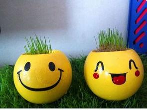 小崽子吃瓜,揭秘娱乐圈的甜蜜与苦涩