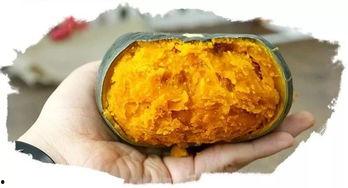 板栗瓜蒸熟直接吃吗,美味营养两不误