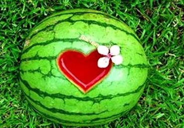 梦见吃才瓜,揭秘吃才瓜的神秘寓意