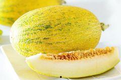 早上哈密瓜吃太多,早晨哈密瓜盛宴后的甜蜜负担