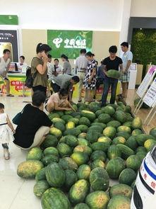 驻马店吃瓜新闻,一场全民热议的“瓜”事