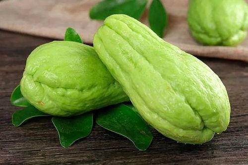 佛手瓜芽叶是否可吃,可食用之绿色宝藏
