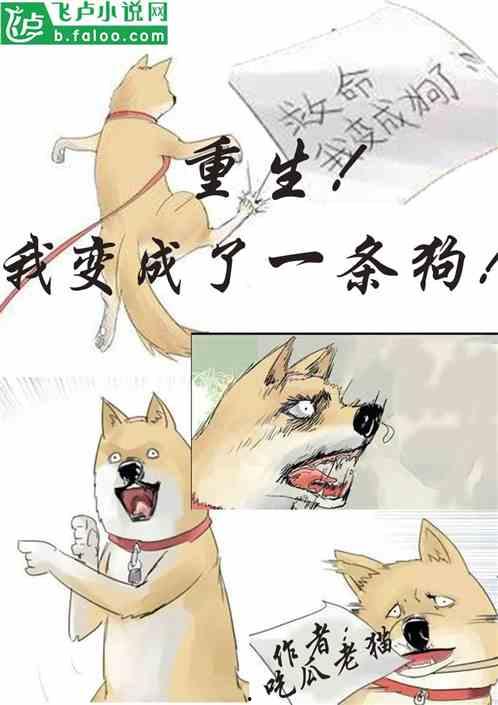 吃瓜饼干小说在线阅读,揭秘小说世界中的甜蜜诱惑与情感纠葛